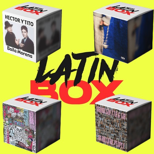 VERBENA  Latin Box Extended